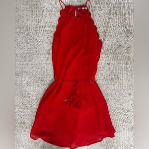 Naked Zebra Red Mini Dress